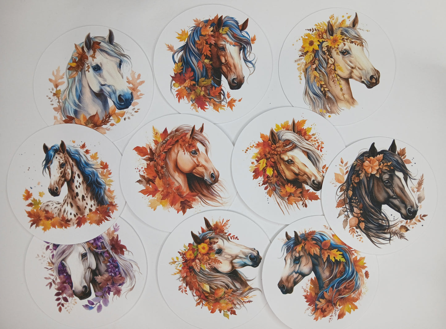 10pc horse theme circle cardstock cut-outs