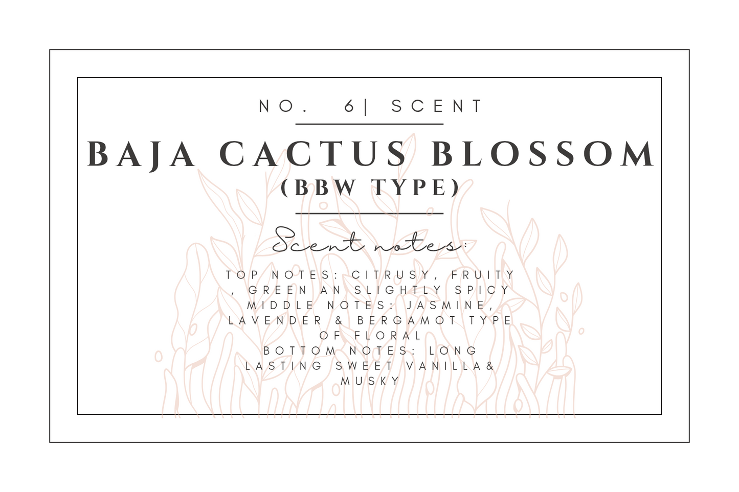 #6- Baja Cactus Blossom Premium scented beads