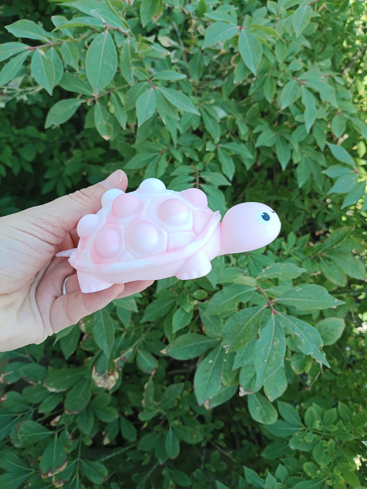 Turtle Pop-it squish: READY TO SHIP: Fun booth fillers: Fun Sensory toys: Colors will be sent at random