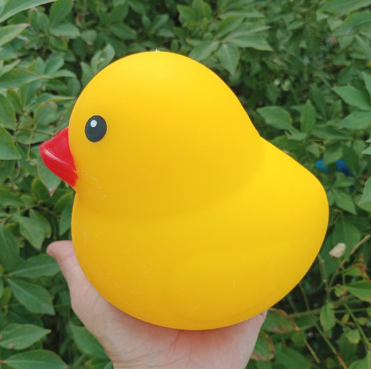 Big Duck squishy's: READY TO SHIP: Fun booth fillers