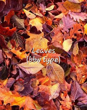 #123 Leaves (bbw type) premium scented beads