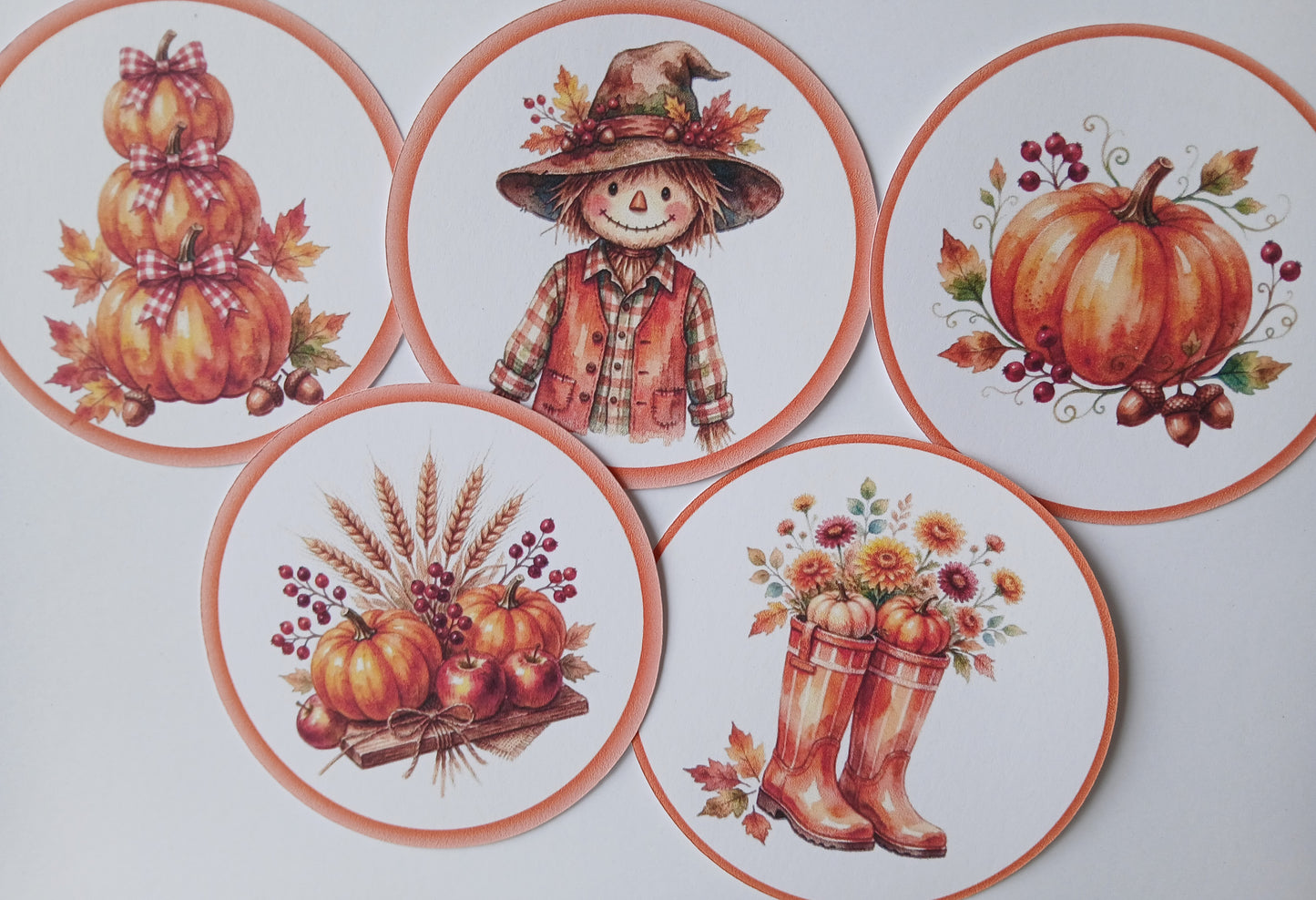 11pc Fall theme circle cardstock cut-outs