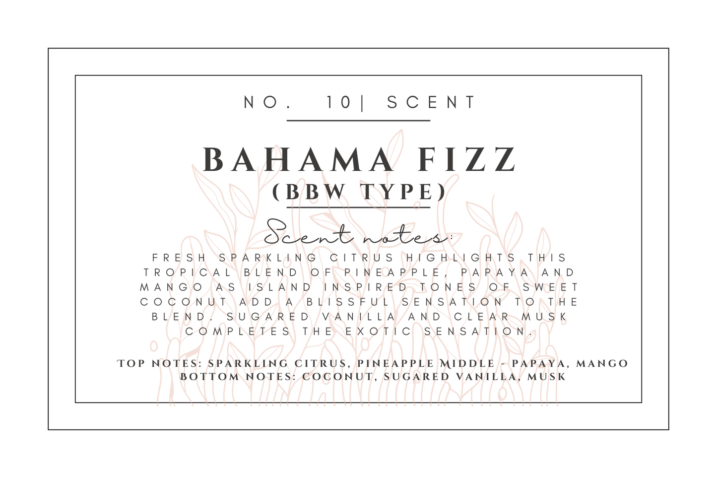 #10- Bahama fizz Premium scented beads