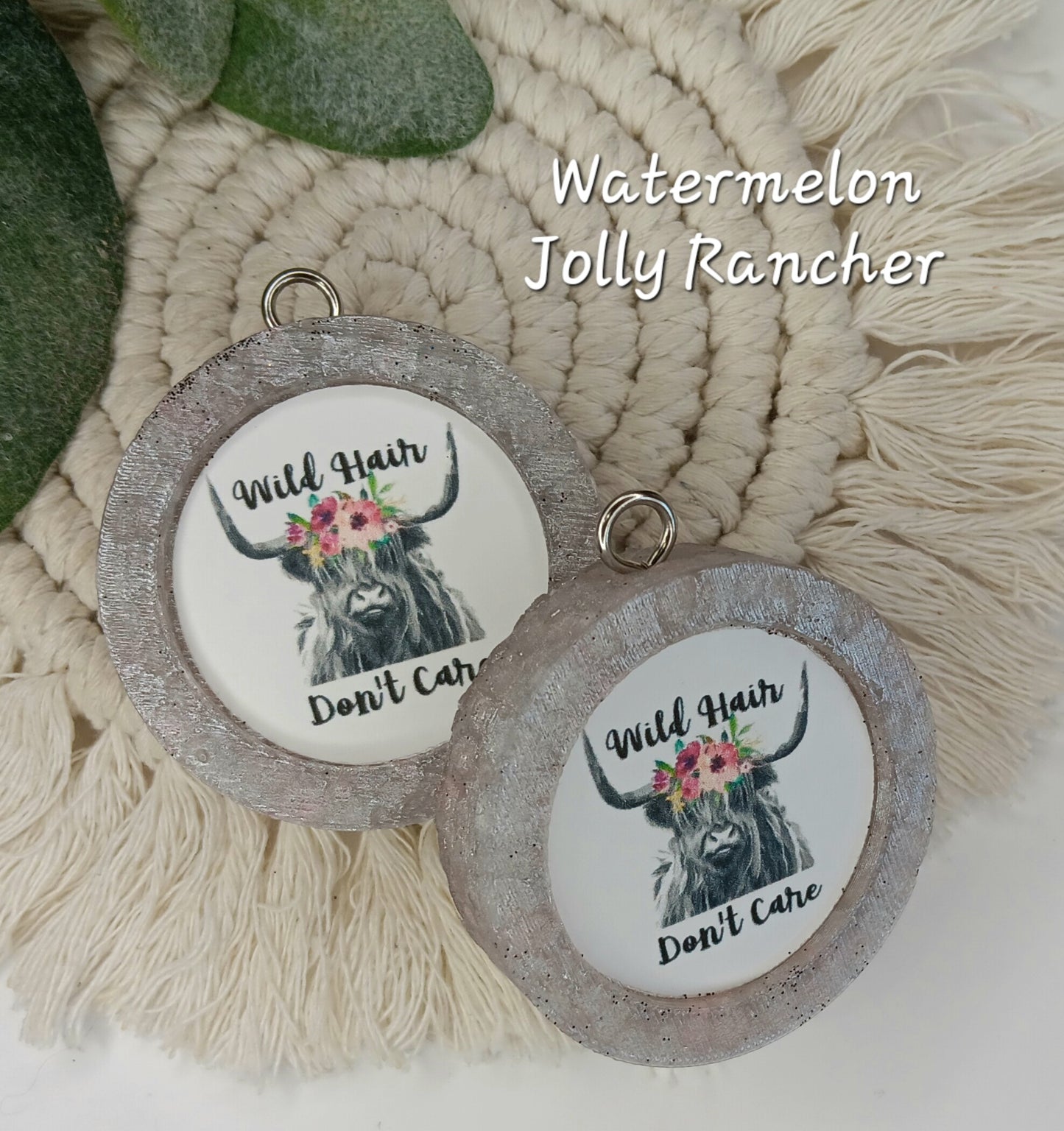 2" Round Vent Clip Freshie Set - READ DESCRIPTION BEFORE PURCHASING