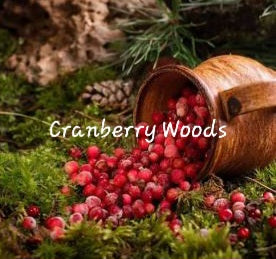 #86- Cranberry Woods Pre-scented beads