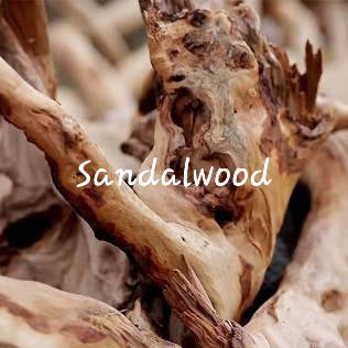 #89- Sandalwood Pre-scented beads