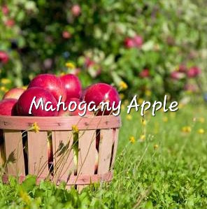 #52- Mahogany Apple Pre-scented beads