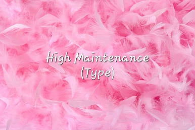 #72- High Maintenance (type) Pre-scented beads
