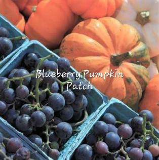 #119 Blueberry pumpkin patch (bbw type) premium scented beads
