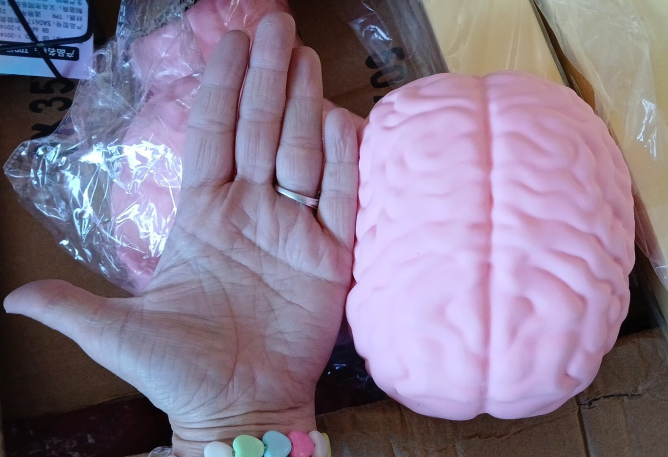 Large Brain squishy's : RTS Fun booth fillers