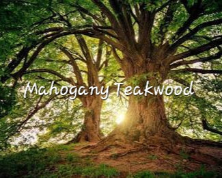#26- Mahogany Teakwood premium scented beads