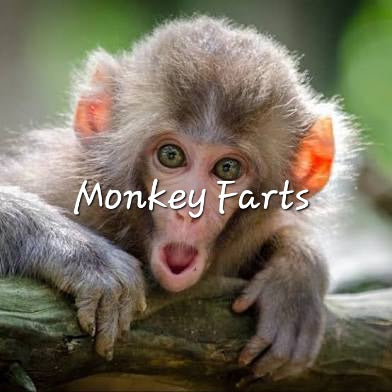 #8- Monkey Farts Premium scented beads