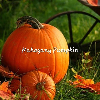 #131 Mahogany pumpkin premium scented beads