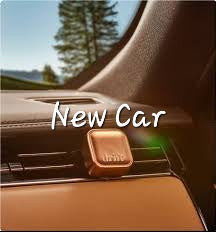 #66- New Car Pre-scented beads