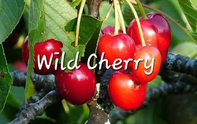 #11- Wild Cherry Premium scented beads