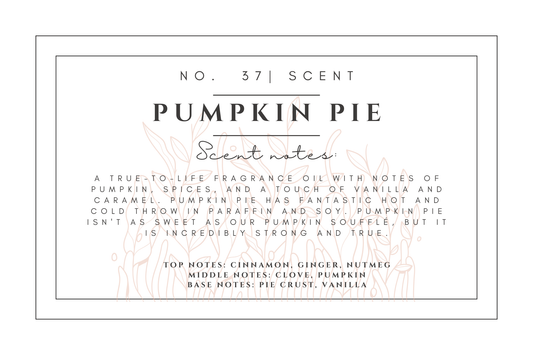 #37- Pumpkin Pie Pre-scented beads